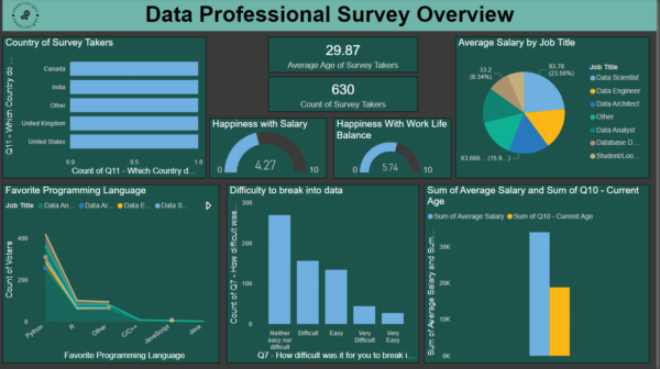 Data professional survey overview