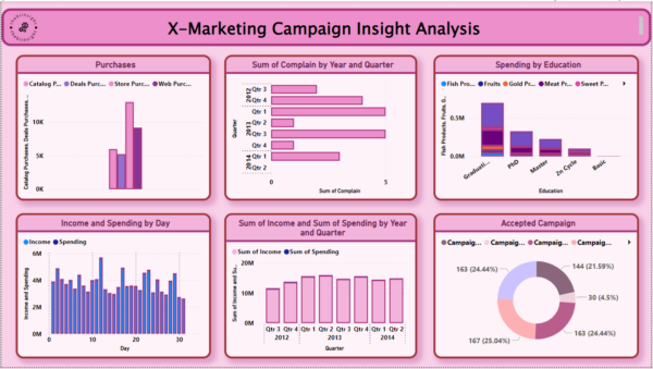 X-market campaign analysis